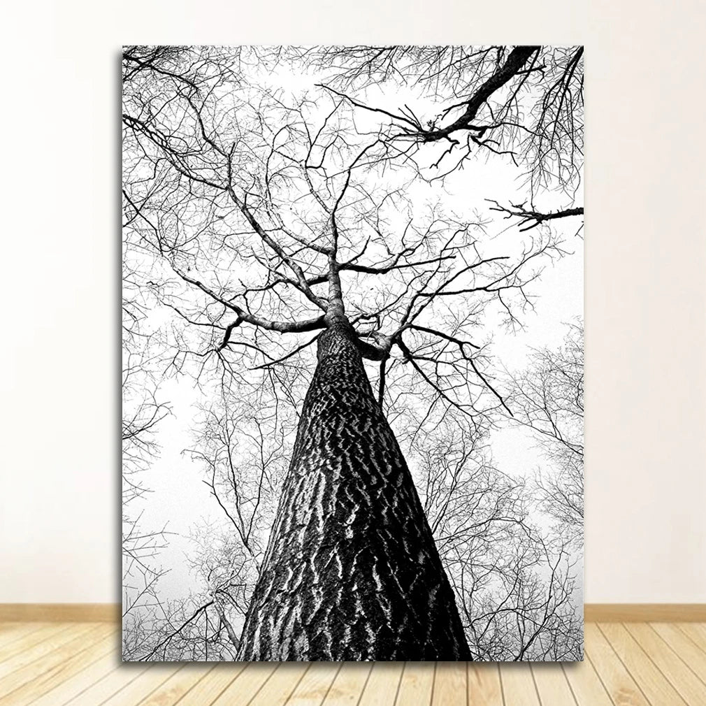 affiche poster noir et blanc cerf