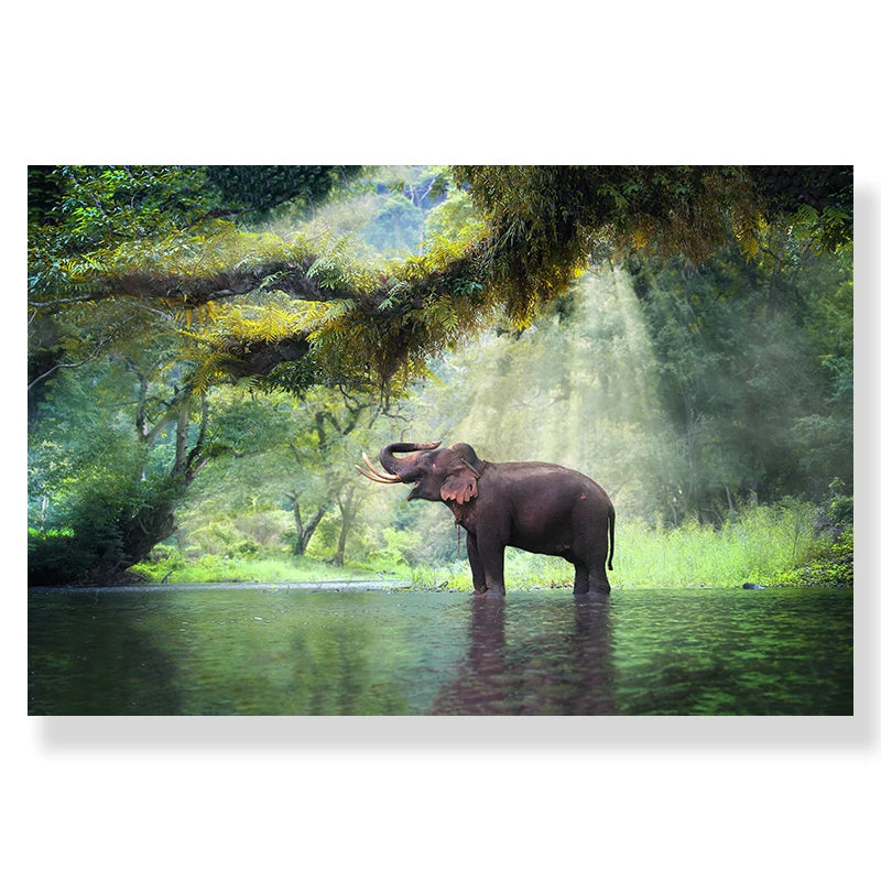 affiche poster deco nature