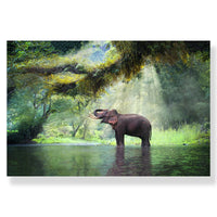 Thumbnail for affiche poster deco nature