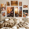 affiche poster arbres nature troncs-Affiche- affiches-posters.fr