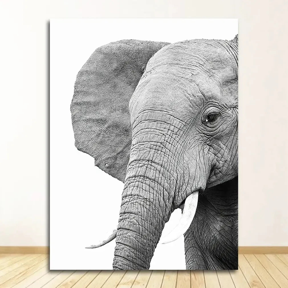 affiche poster noir et blanc éléphant-Affiche- affiches-posters.fr