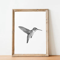 Thumbnail for affiche poster noir et blanc oiseaux