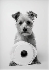 Thumbnail for affiche poster noir et blanc animaux