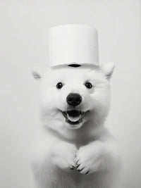 Thumbnail for affiche poster noir et blanc animaux