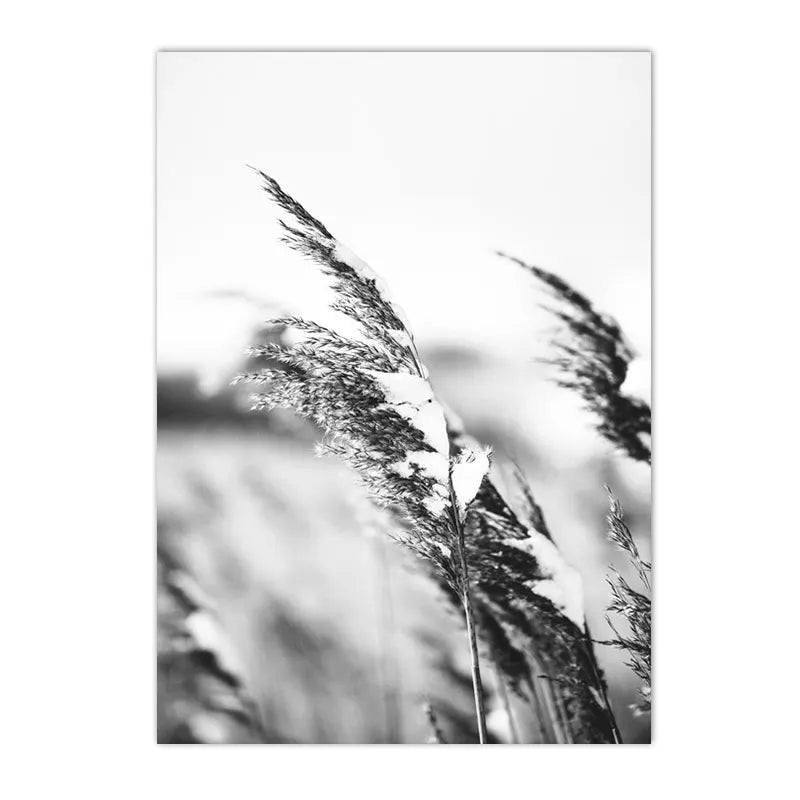 affiche poster montagne noir et blanc