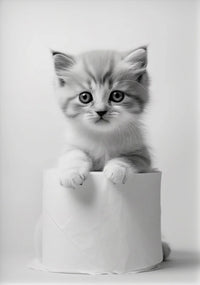 Thumbnail for affiche poster noir et blanc animaux