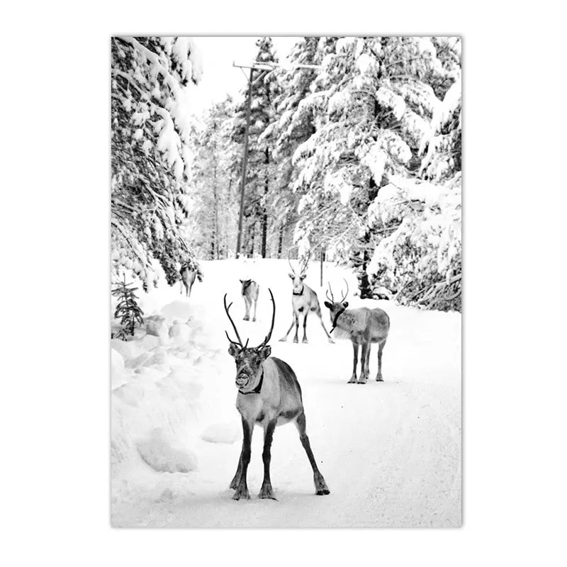 affiche poster montagne noir et blanc