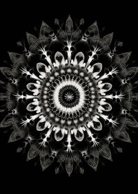 Thumbnail for affiches poster mandala noir et blanc