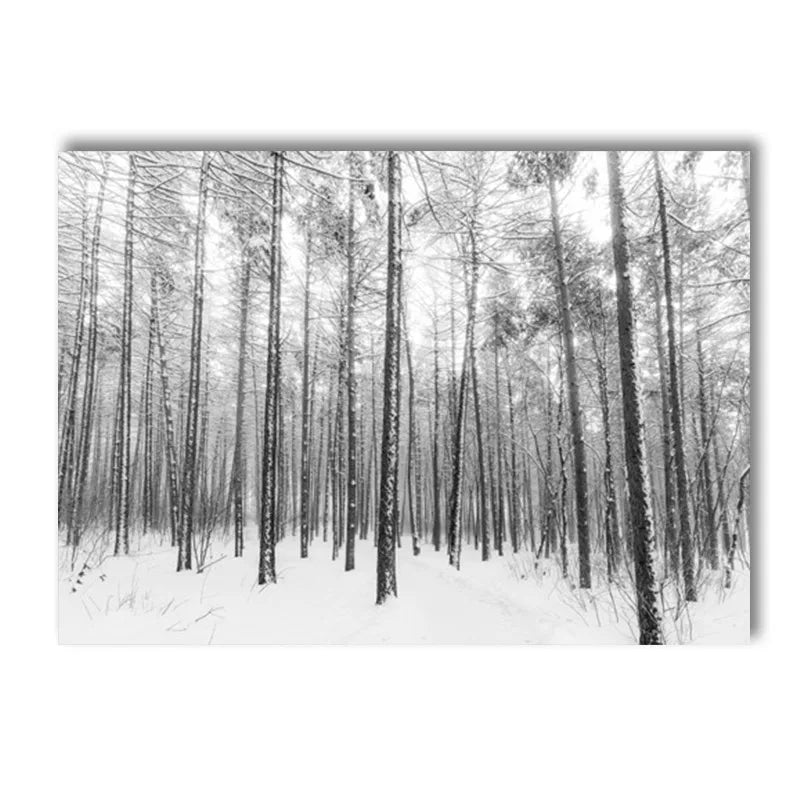 affiche poster montagne noir et blanc