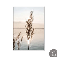Thumbnail for affiche poster nature beige