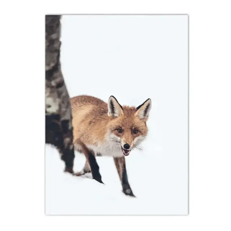 affiche poster renard fox nature-Affiche- affiches-posters.fr