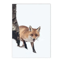 Thumbnail for affiche poster renard fox nature-Affiche- affiches-posters.fr