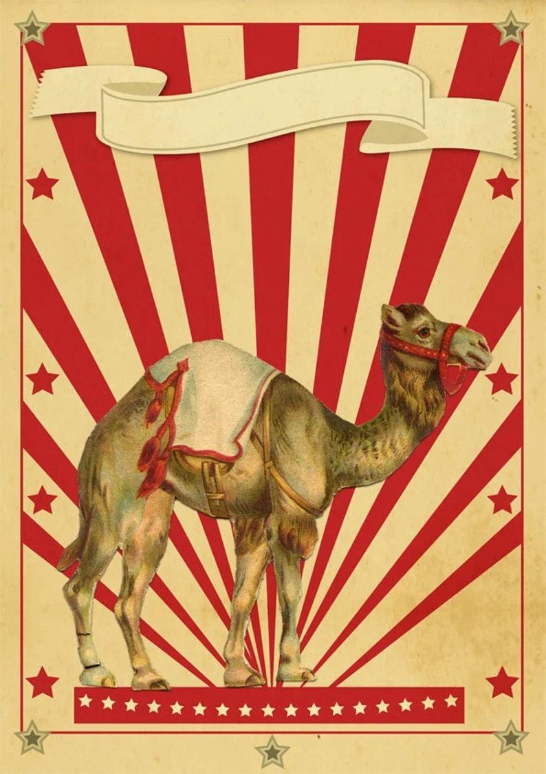 Affiche Cirque Dromadaire-Affiche- affiches-posters.fr