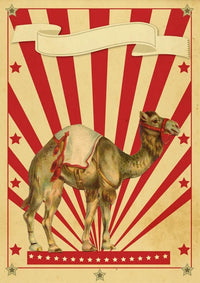 Thumbnail for Affiche Cirque Dromadaire-Affiche- affiches-posters.fr