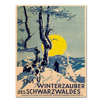 Thumbnail for Affiche Ski Allemande-Affiche- affiches-posters.fr